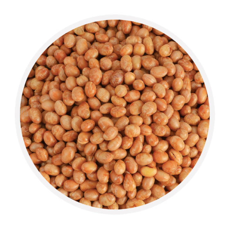 Soy Beans Roasted No Salt 35 lb